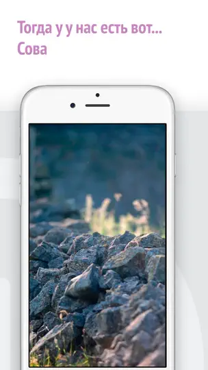 Скриншот Найди кота! на iPhone 5