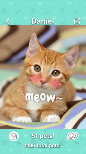PetLove <3 screenshot 3