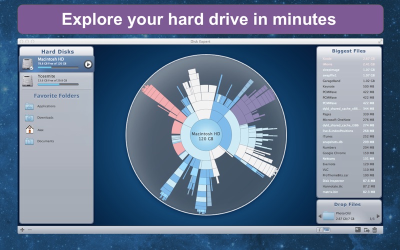 DiskExpert_Free_Up_Disk_Space.app caprure 1 1_DiskExpert_Free_Up_Disk_Space.jpg