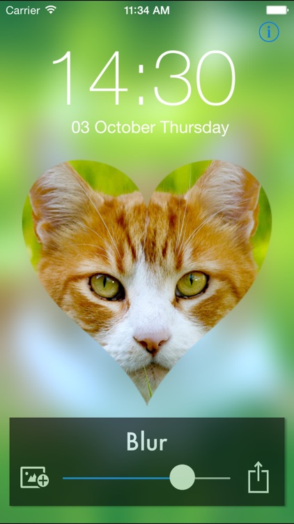 Blur Image Free -Set as ScreenLock