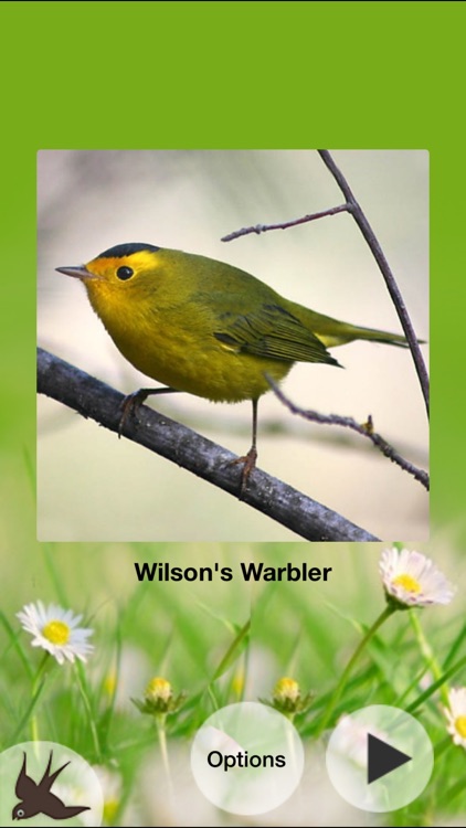 Chirp! Bird Songs Canada + screenshot-3