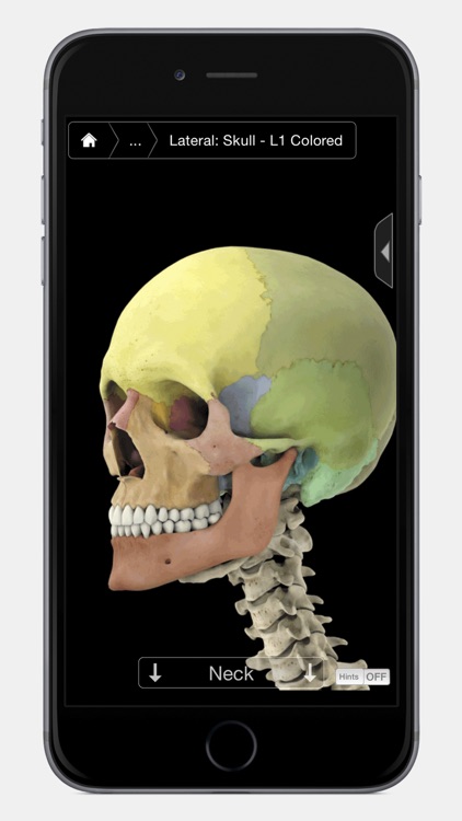 Skeleton System Pro III - iPhone Edition