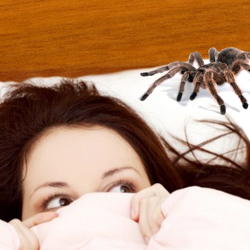 kill Spiders icon