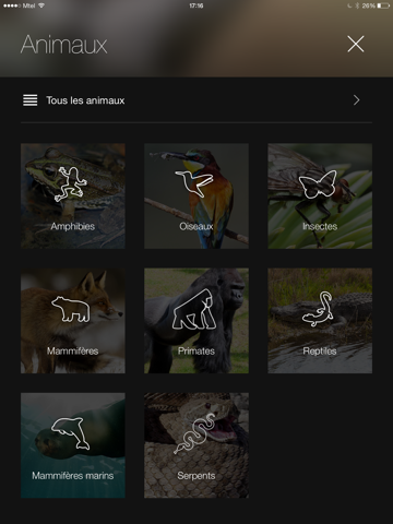 Screenshot #5 pour Animaux du Monde Gratuit : Sons et Photos