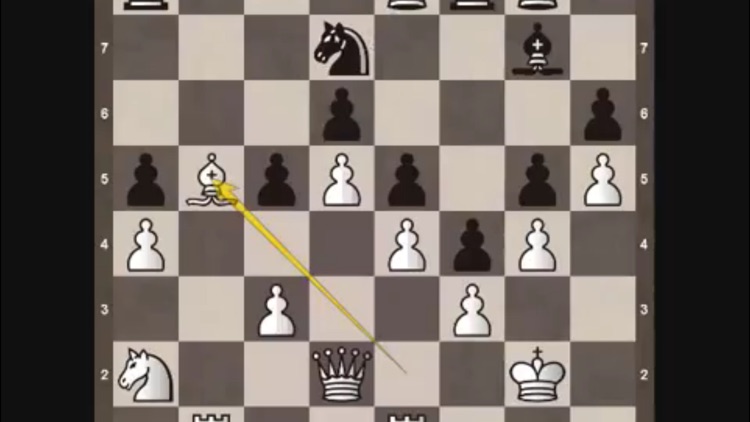 Chess Master Class screenshot-4