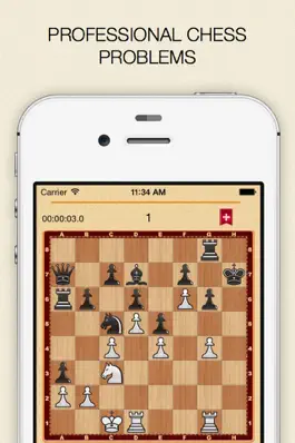 Game screenshot Mate in 1? OK! apk