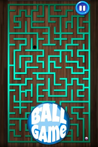 Ball Game Pro screenshot 2