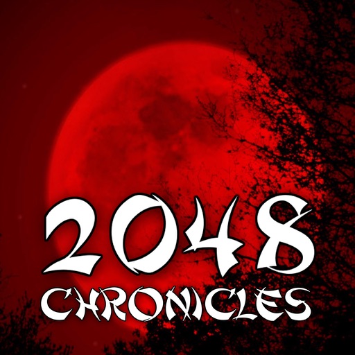 2048 Chronicles - Japan icon