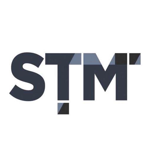 STM seguridad icon