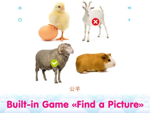 Screenshot #5 pour Fiches de vocabulaire pour enfants en chinois simplifié et apprentissage et jeu de logique «Trouver une photo»