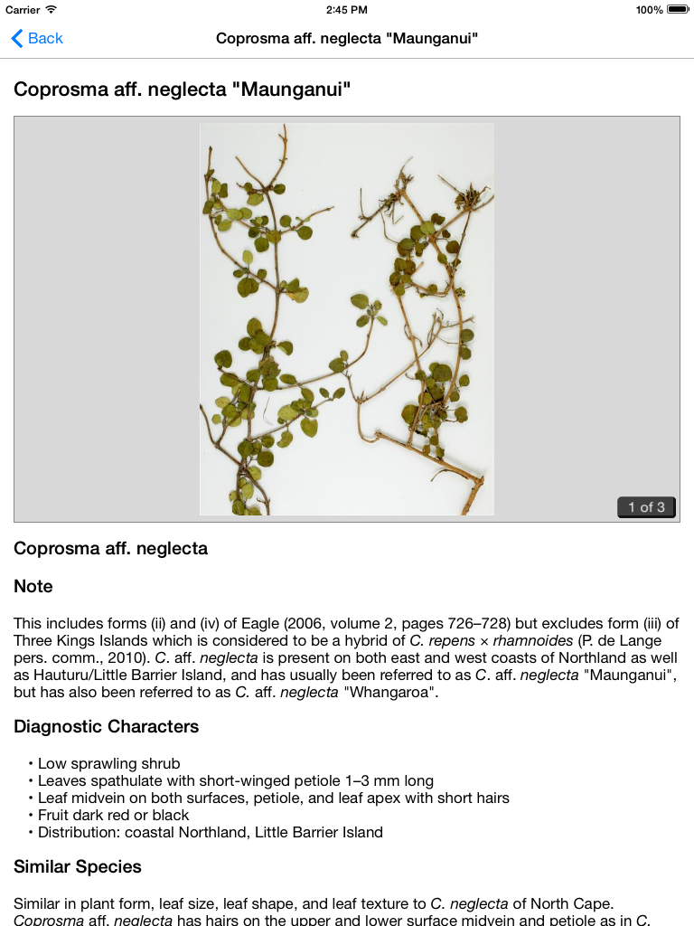 NZ Coprosma Key