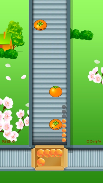 Orange Falling Pro - Fruit Collection Game screenshot-3
