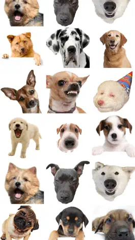 Game screenshot Dog Emojis apk