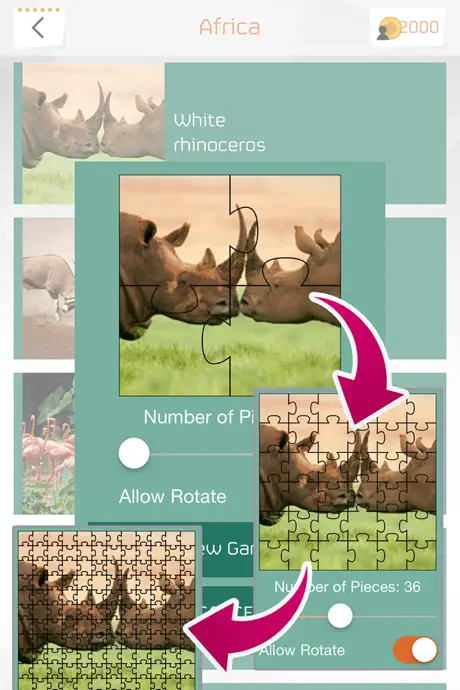 Animal Puzzle Game HD