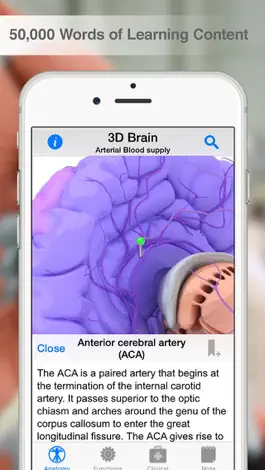 Game screenshot Pocket Brain hack