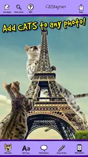 catstagram! turn people into cats instantly and more! айфон картинки 2