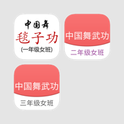中国舞武功套装 - 舞蹈教学视频、舞蹈基本功必备