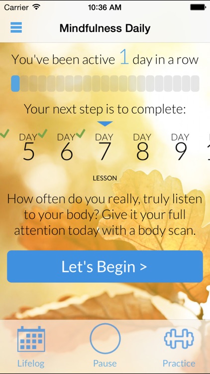 Mindfulness Daily
