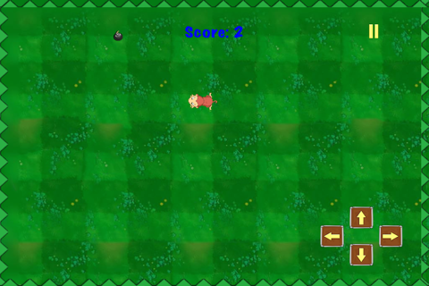 Happy Monkey Banana Quest: Super Challenge Run screenshot 3