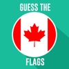 Flag Logo Quiz Game