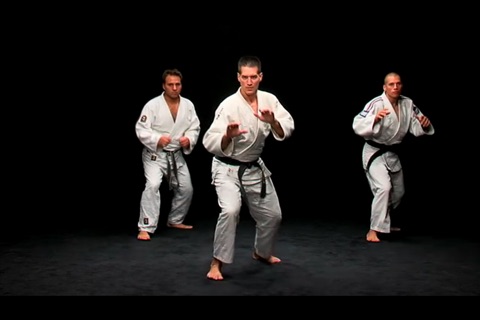 JU-JITSU - Efficiency by the movement screenshot 2