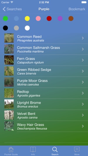 Pocket Guide UK Grasses(圖5)-速報App