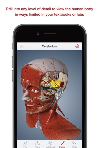 BioDigital Human: 3D Anatomy Explorer screenshot 2