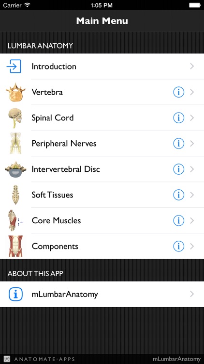 mLumbarAnatomy