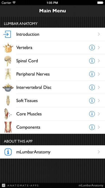 mLumbarAnatomy