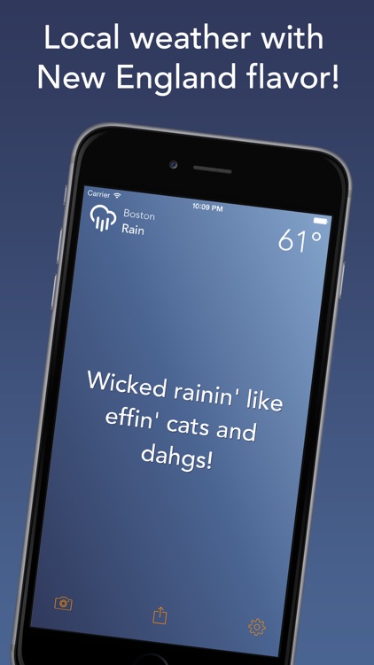 Wicked Weathah - Authentic Boston Weather & Effing Funny Conditions