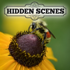 Activities of Hidden Scenes - My Little Bees