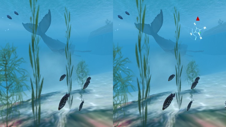 Sharks VR screenshot-4