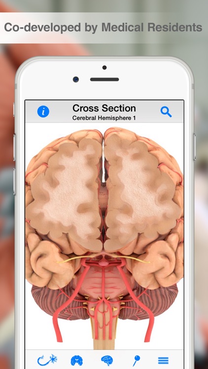 Pocket Brain screenshot-4