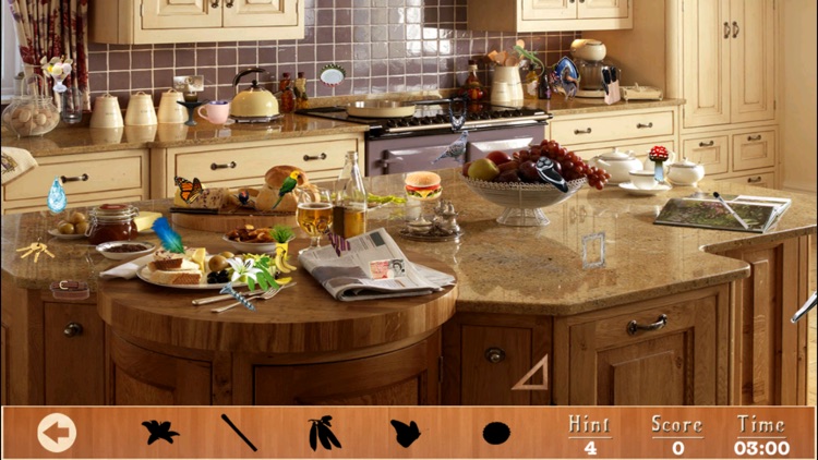 Span New Kitchen Hidden Objects