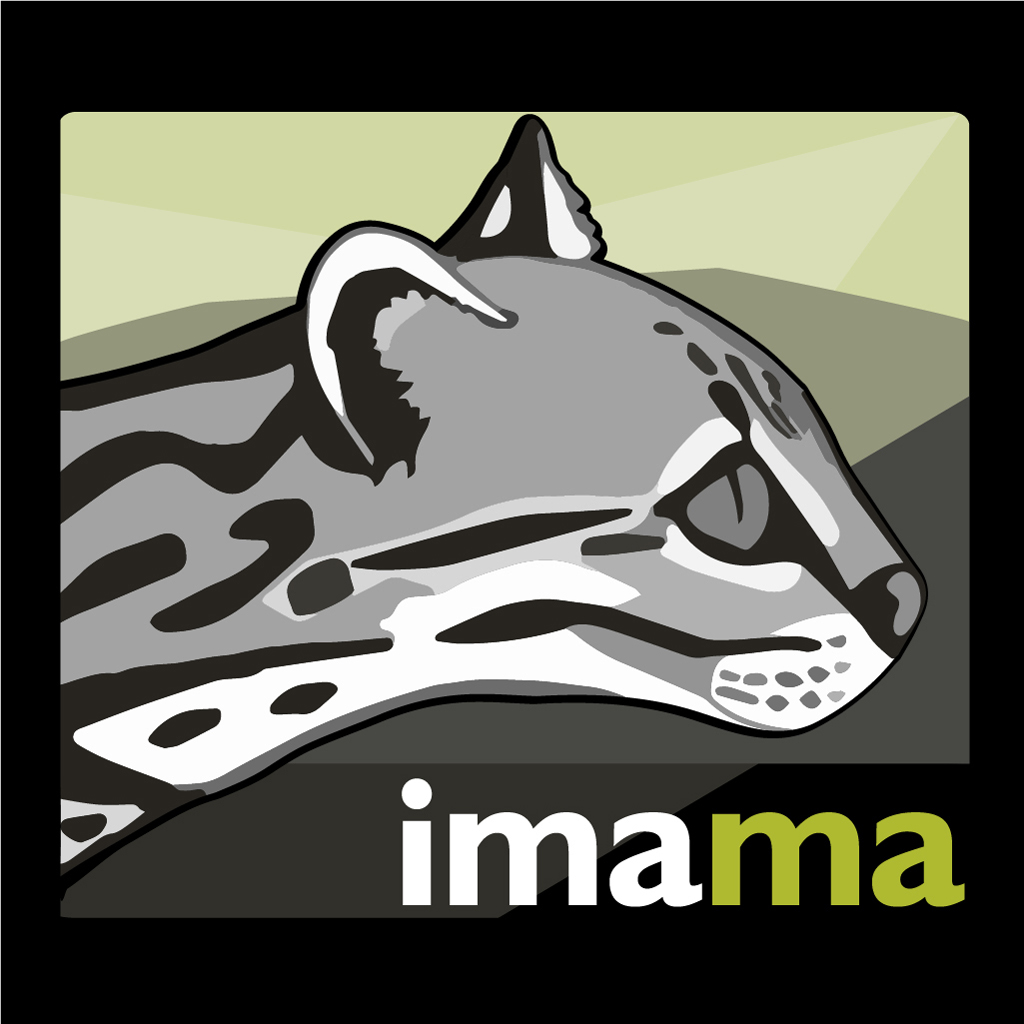Get imama for iOS, iPhone, iPad Aso Report