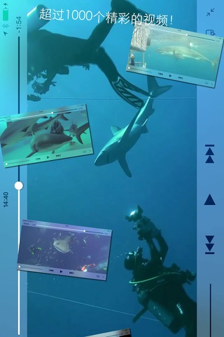 Shark Diving screenshot 2