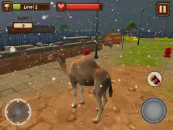 Camel Simulator screenshot 10