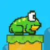 Hop Hop Frog! - Leap Froggy Hopper