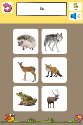 Game screenshot Karty do nauki, Edukacyjne gry dla dzieci (FREE) apk