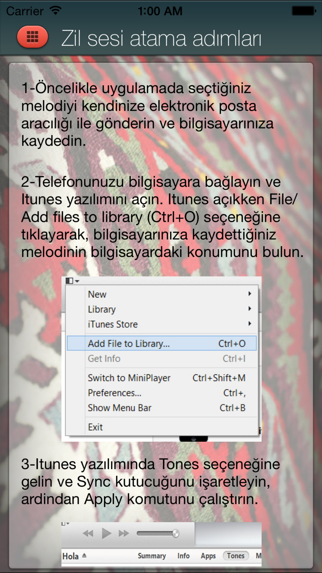 Türkü Sepeti Zil Sesleri