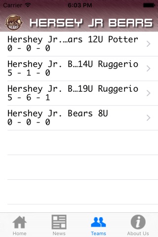 Hershey Jr. Bears Hockey screenshot 2