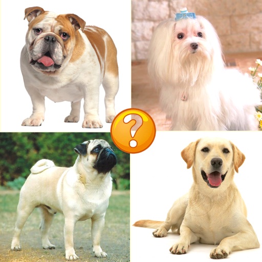 Puppy Guess:Predict And Reveal Your Favourite Puppies Breed icon