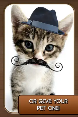 Game screenshot Mustache Booth - A Funny Facial Hair Photo Editor apk