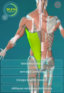 Game screenshot Anatomy Quiz - muscles and bones hack