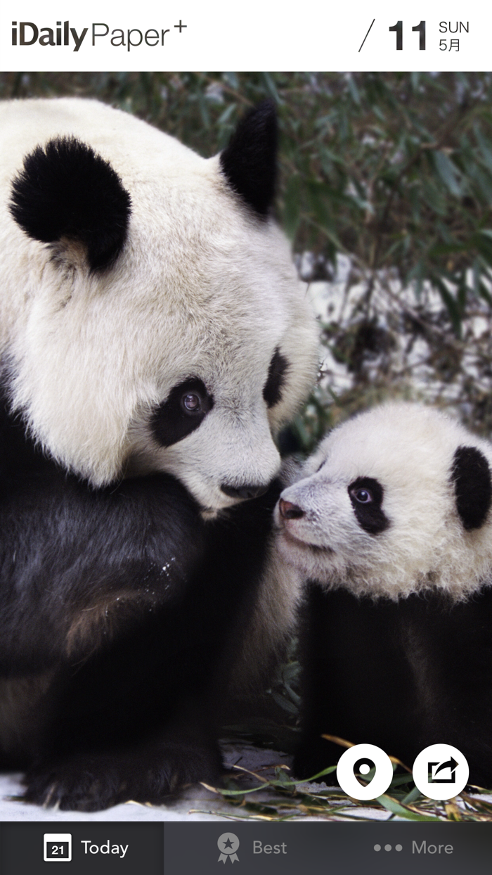 每日全球壁纸 · iDaily Paper