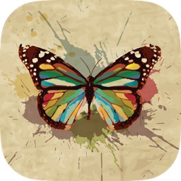 Butterfly Wallpapers, Backgrounds & Themes - Download Free HD Images of the Best Beautiful Butterflies You've Ever Seen!