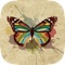 Butterfly Wallpapers, Backgrounds & Themes - Download Free HD Images of the Best Beautiful Butterflies You've Ever Seen!