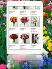 Buy Flowers ipad bilder 1