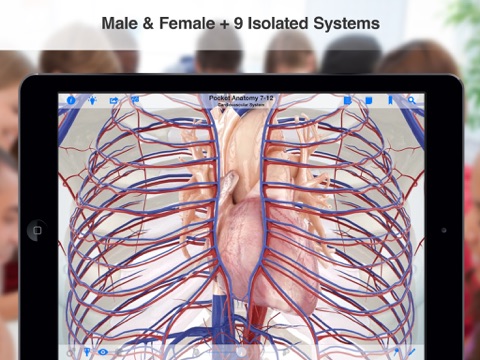 Screenshot #6 pour High School Anatomy