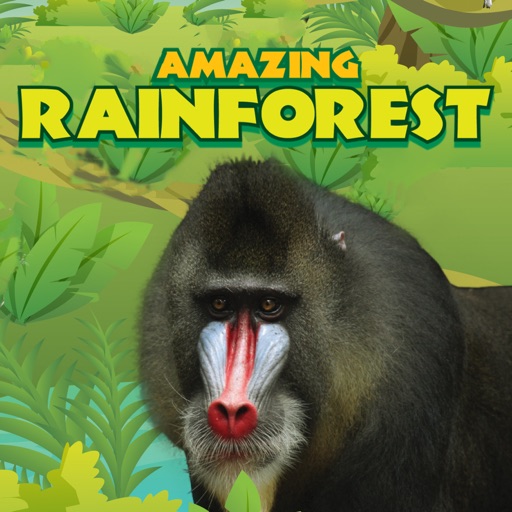 Amazing Rainforest icon